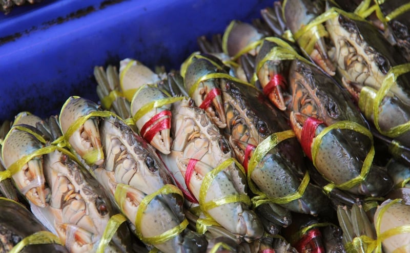 Fresh seafood