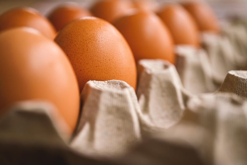 Organic Dairy and Eggs